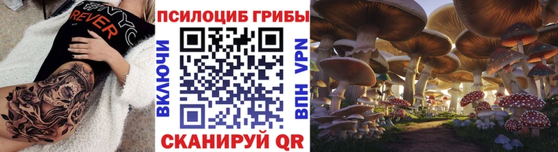 Галлюциногенные грибы Psilocybine cubensis Купить закладки Андреаполь